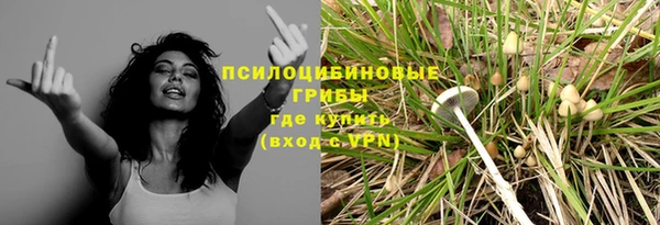 героин Алексин