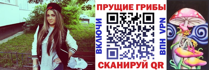 Псилоцибиновые грибы мицелий  Тотьма 