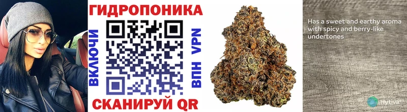 где купить   Тотьма  MEGA как войти  Каннабис MAZAR 